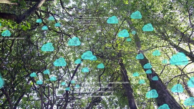 fade-in cue initiating turquoise clouds drifting over canopy, visualizing changing data density