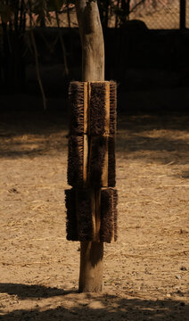 Animal scratch post or livestock scratch pad in a zoo or wildlife sanctuary, helping animals relieve itching, maintain skin health, mark territory, and stretch muscles naturally.