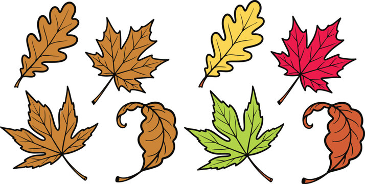 Autumn leaves collection a watercolor style illustration of fall foliage