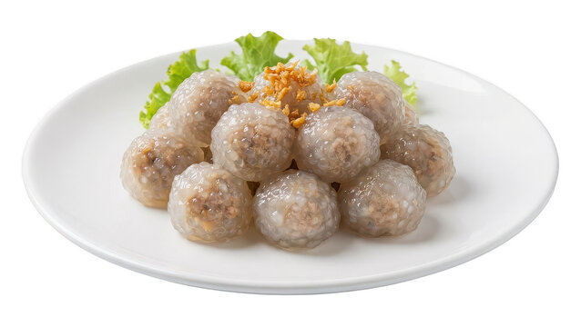 Tapioca pearls with minced pork and peanuts, Thai sago dessert isolated on transparent background