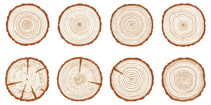 Set of eight tree rings showing wood grain texture and cross section of log trunks