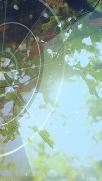 Vertical video: View shift HUD and leaves tilting, glowing, rings drifting to show tech over leaves