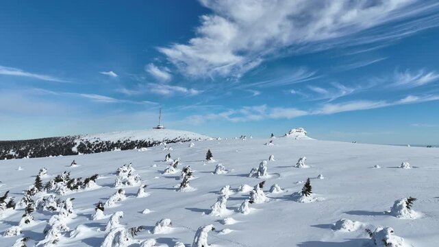 Jeseniky mountain aerial drone shot during winter natural ice form spruce tree Picea forest, Praded television tower transmitter snow frost cold cool ice tundra biome frigid temperature birds eye top