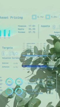 Vertical video: Capital Asset Pricing appearing HUD updating targets cam panning visualizing assets