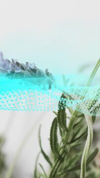 Vertical video: Cyan ribbon entering left and sweeping across lavender forming mesh showing detail