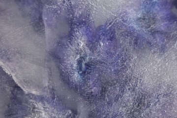Obraz premium Smoke soft focus blue, violet flower petal through glass with frozen ice. Abstract natural blur wet background.