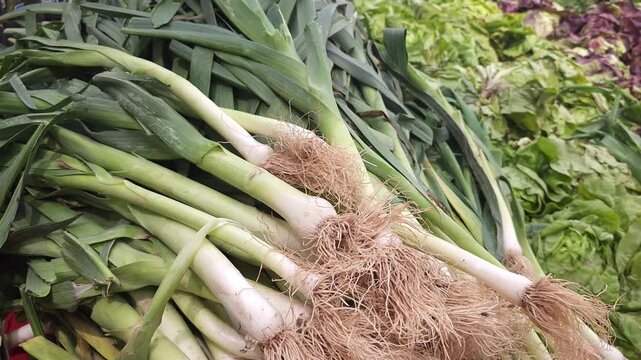 horizontal video of leek stalks on a counter among herbs