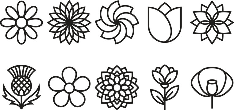 Floral icons set isolated on transparent background