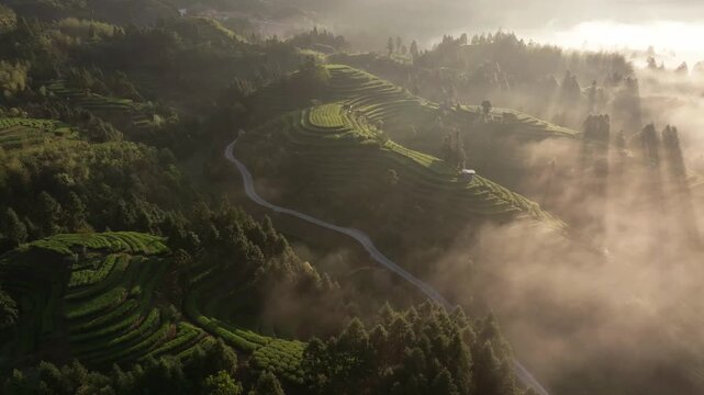 Terraced fields winding along mountain paths shrouded in mist under morning light