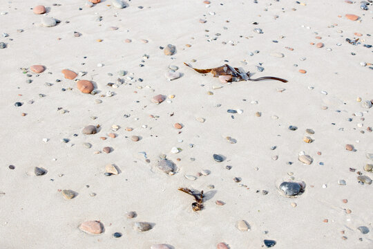 Muscheln und Steine auf hellem Sandstrand am Meer, nat&uuml;rliche maritime Dekoration an der K&uuml;ste
