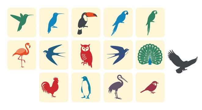 Collection of colorful bird illustrations