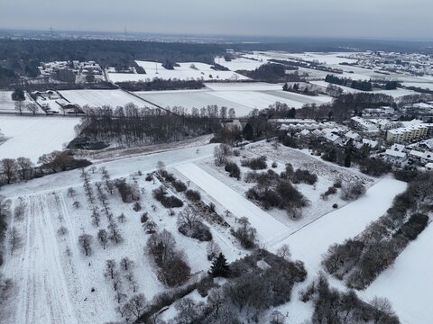Winter bei Urberach