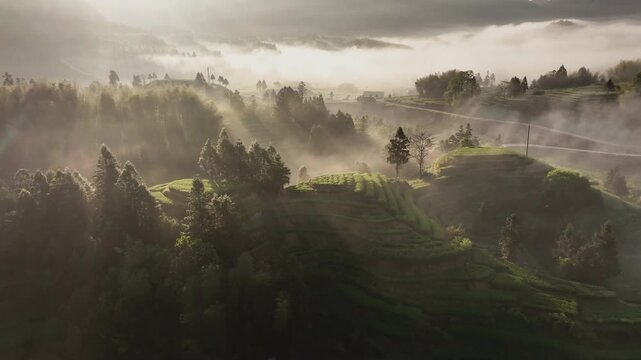 Misty morning landscape with terraced fields, forested hills, and interwoven light and shadow