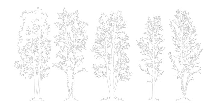 Minimalist tree line art vector set, 5 architectural tree outlines for landscape design, thin black line drawing of deciduous trees on white background