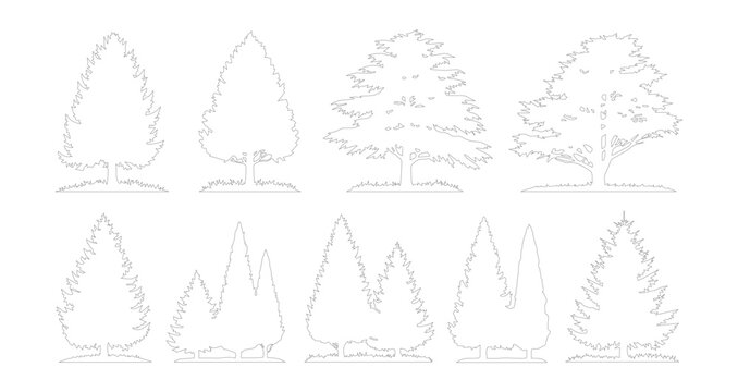 Minimalist line art tree silhouettes, set of 9 thin outline conifer and deciduous tree icons, elegant botanical vector illustrations for landscape design