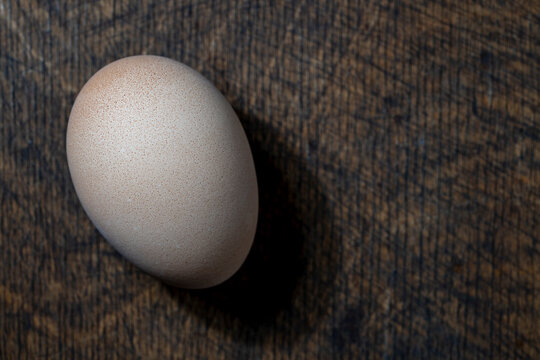 Single brown chicken egg on dark textured wooden surface. Minimalist food photography with dramatic lighting and shadows. Ideal for organic food healthy eating and rustic kitchen themes.
