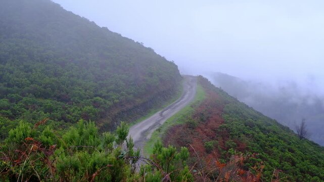 Winding mountain road disappearing into thick white fog in the lush green hills of San Martin del Rey Aurelio, Asturias. 