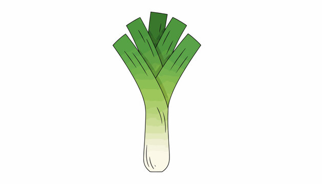 Green Onion, Leek, Vector Illustration, Fresh Herb, Green Leafy Vegetable, Food Icon