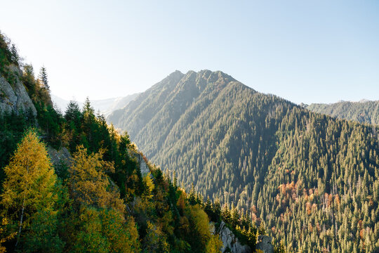 Scenic mountain view with autumn forest on Transfagarasan Highway in Romania.