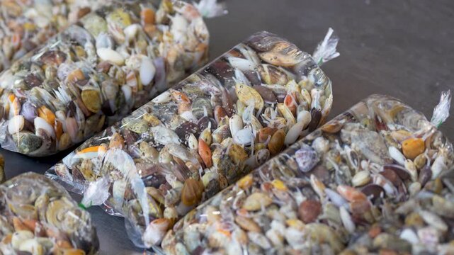 Plastic bags with water filled with many various exotic small shell clams selling at local street food fish market in Thailand, vendor stall sell tropical clams in bags, traditional seafood delicacies