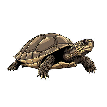 A brown turtle walking on land.