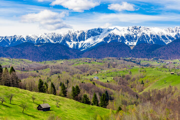 Fototapeta premium Landscape with green hills in the foreground and the Piatra Craiului mountains with snow-capped peaks in the background. Piatra Craiului Mountains - Romania with snow on the peaks seen in spring