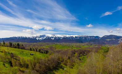 Obraz premium Landscape with green hills in the foreground and the Piatra Craiului mountains with snow-capped peaks in the background. Piatra Craiului Mountains - Romania with snow on the peaks seen in spring