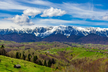 Obraz premium Scenic view of the Carpathian Mountains in Romania, specifically showcasing the snowy peaks of the i Piatra Craiului mountains in spring