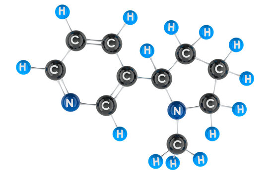 Nicotine molecule model. 3D rendering