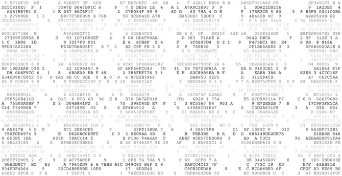 Digital Gridwork - A Structured Array of Binary Logic and Information Processing Blocks