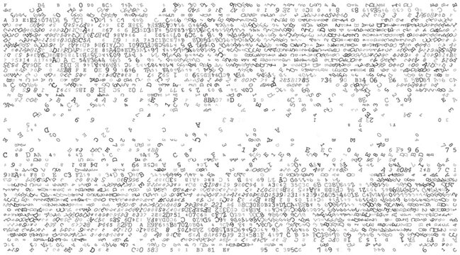 Linear Void - A Fragmented Horizontal Distribution of Binary Code and Digital Noise