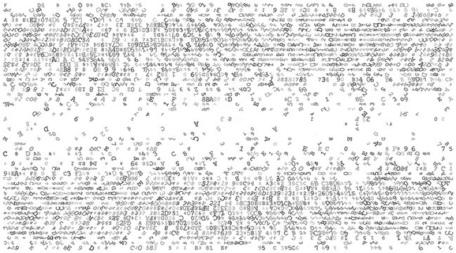 Linear Void - A Fragmented Horizontal Distribution of Binary Code and Digital Noise