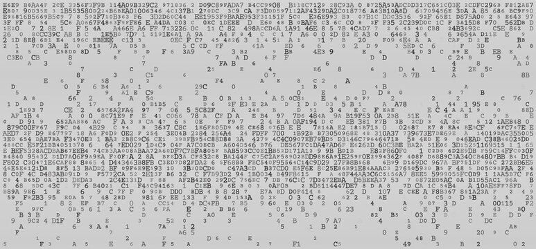 Linear Logic - A Structured Horizontal Distribution of Binary Fragments and System Protocols