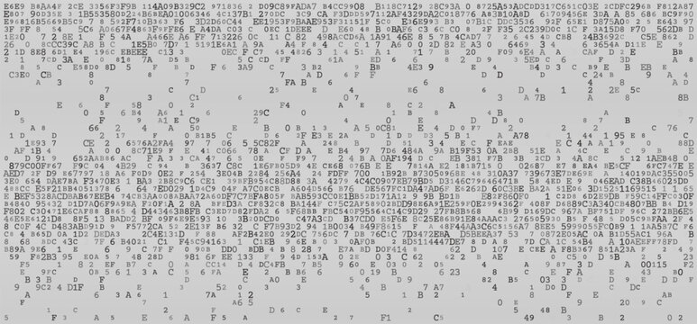 Linear Logic - A Structured Horizontal Distribution of Binary Fragments and System Protocols