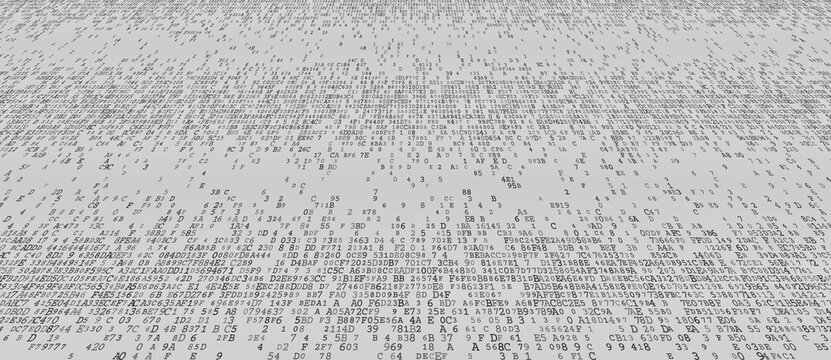 Linear Logic - A Structured Horizontal Distribution of Binary Fragments and System Protocols. Perspective.