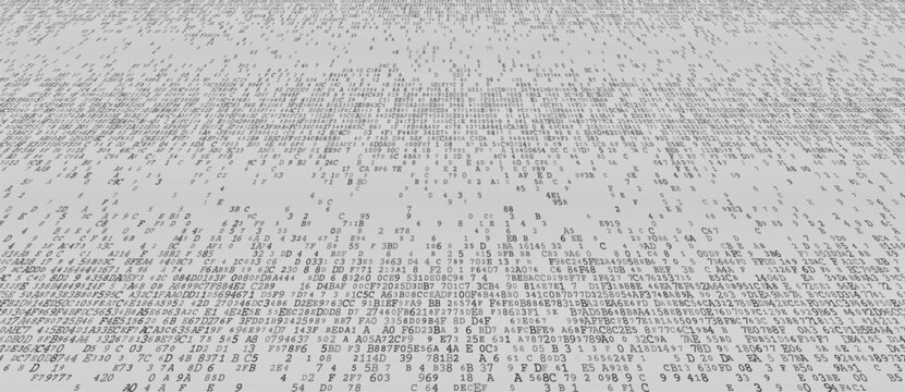Linear Logic - A Structured Horizontal Distribution of Binary Fragments and System Protocols. Perspective.