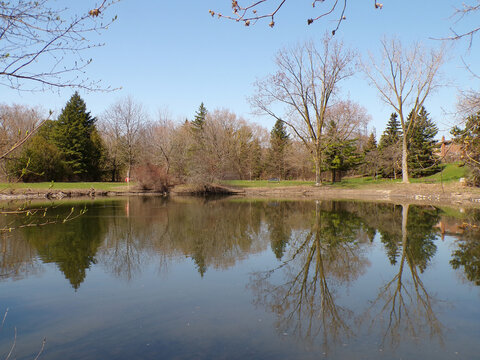 Spring landscape with lake and trees