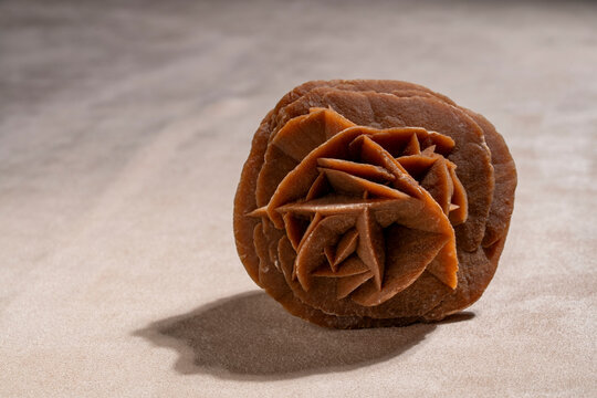 Desert rose crystal mineral formation. Natural desert rose gypsum crystal. Unique rosette shaped mineral formation found in arid sandy conditions. Earthy tones and detailed crystalline texture