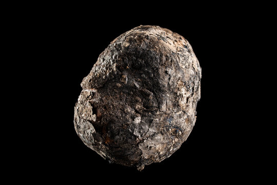 Whole roasted potato with charred skin on black background. Potato baked in coals showing a dark cracked and ashy skin. Professional macro shot for organic food or rustic cooking concepts
