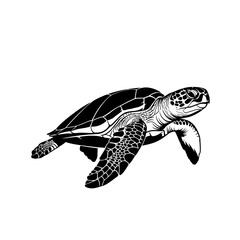Obraz premium Sea turtle swimming underwater in clear blue ocean with sunlight rays, serene marine life