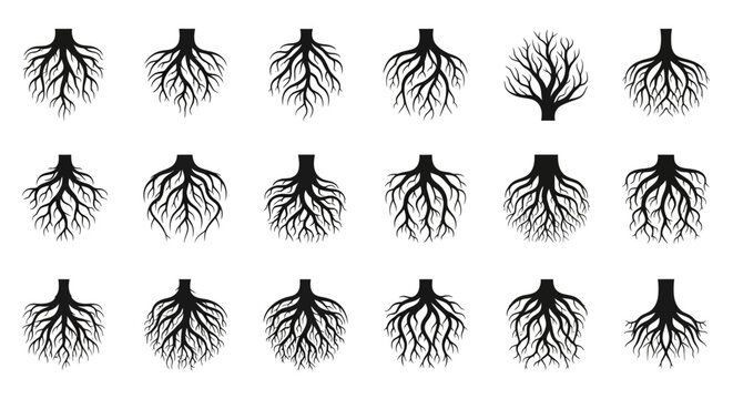 Tree roots, root system, black silhouettes, vector icons, 20 tree root illustrations, botanical symbols