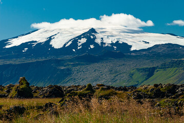 Fototapeta premium Snæfellsjökull glacier volcano in Iceland with snow covered peak and green foreground in summer landscape