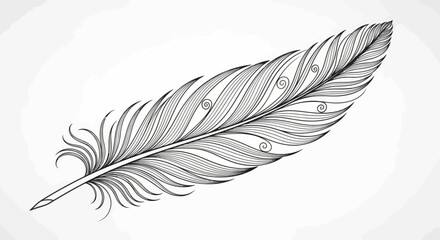 Obraz premium Delicate black ink feather with flowing barbs and spiral details