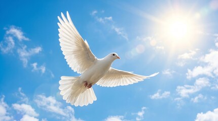 Fototapeta premium photo of white doves flying with sky background for an image of freedom made by AI generative
