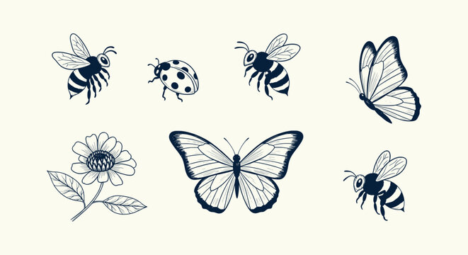 Vintage Hand Drawn Insect Collection with Bees Butterflies Ladybug and Flower Sketch Illustrations