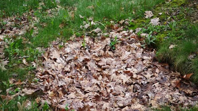 A Hole for a Septic Tank in a Yard.