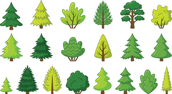 Cartoon diverse trees collection, coniferous deciduous bush foliage vector illustration, botanical nature artwork design graphic - colorful flat vector illustration