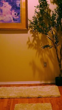 Camera pans up a modern hallway in modern home - Vertical