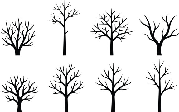 Leafless tree silhouette flat vector illustration featuring eight diverse branching patterns, winter forest design art, nature graphic, black-and-white drawing