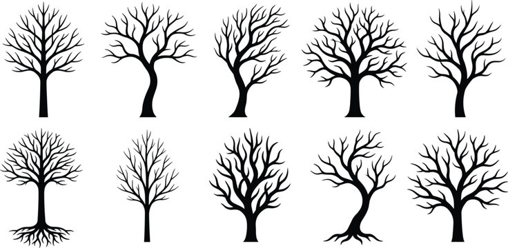 Leafless tree silhouette flat vector illustration featuring ten diverse branching patterns, seasonal forest design art, nature graphic, black-and-white drawing